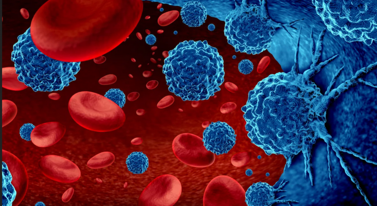 Jornadas Integradas de Hematología