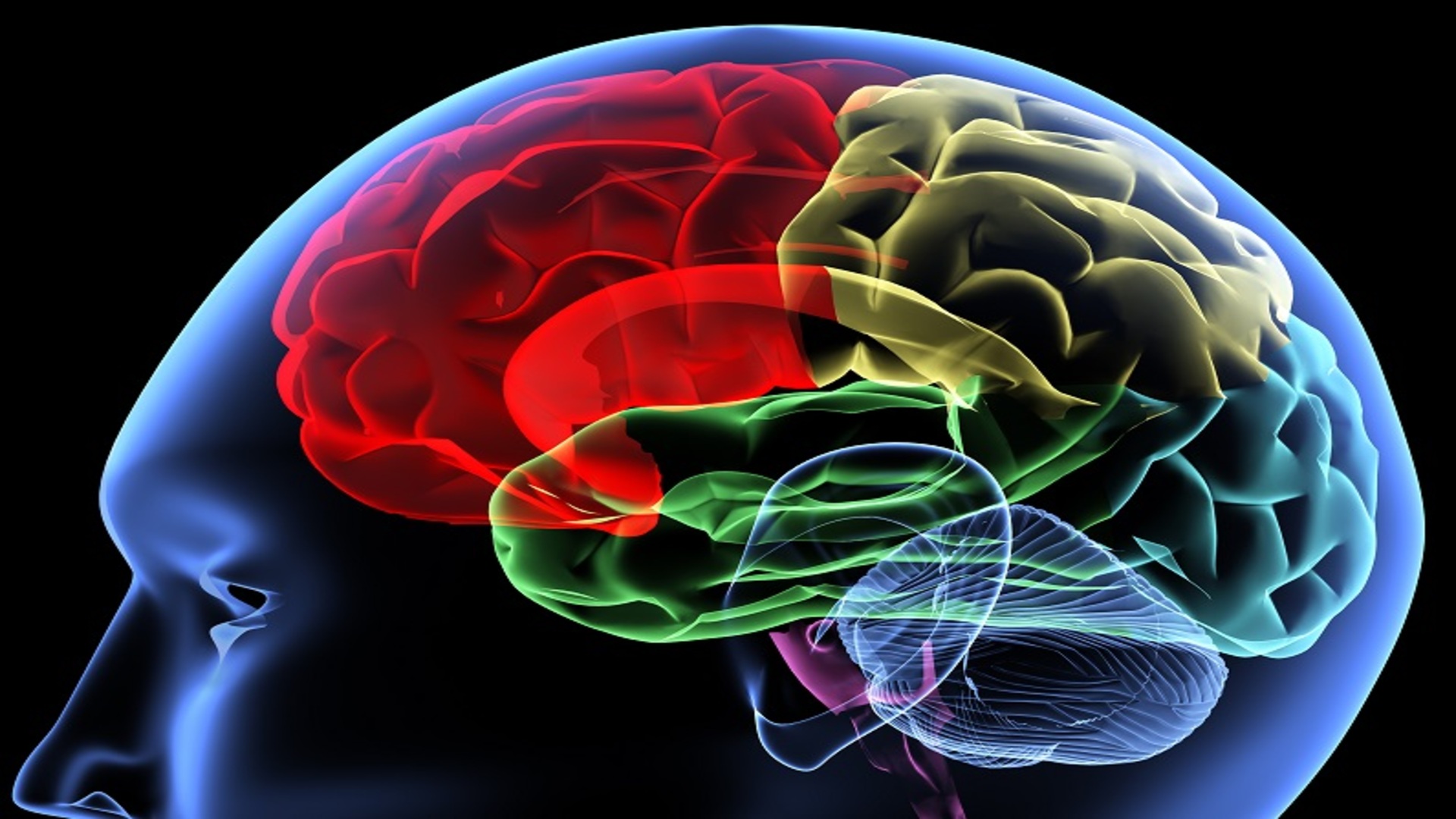 Congreso de Neurología y Jornadas de Enfermería en Neurología
