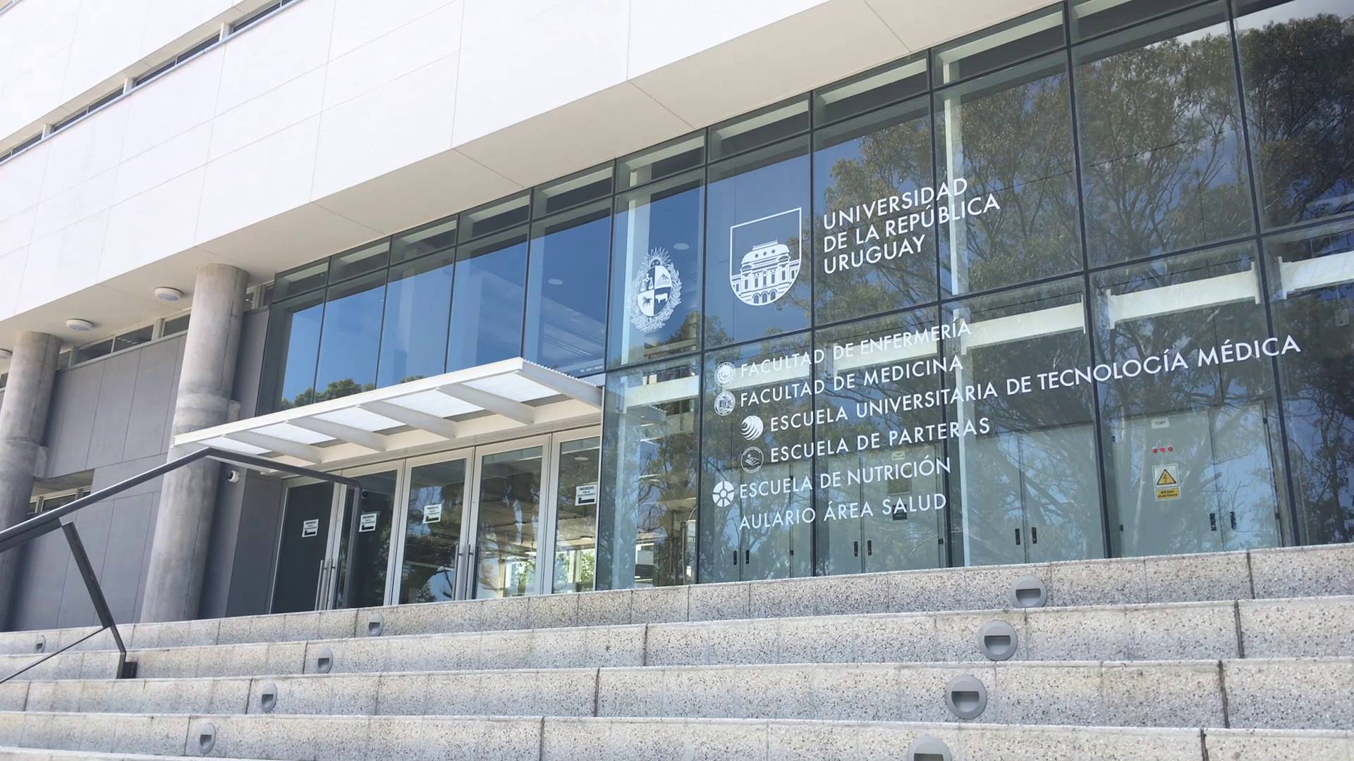 Reacreditación Carrera  Licenciatura en Enfermería: Rol de la División Enfermería 